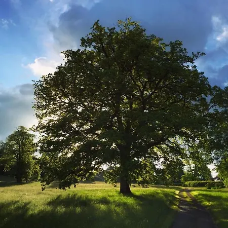 La Tiny Du Parc : Saint Symphorien Des Monts * Ernée
