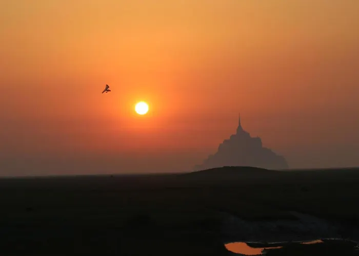La Tiny Du Parc : Saint Symphorien Des Monts Lodge