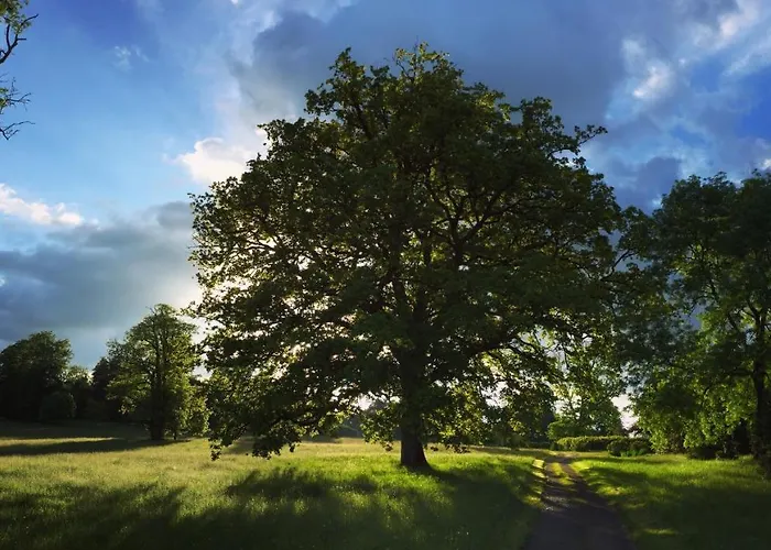 La Tiny Du Parc : Saint Symphorien Des Monts * Ernée